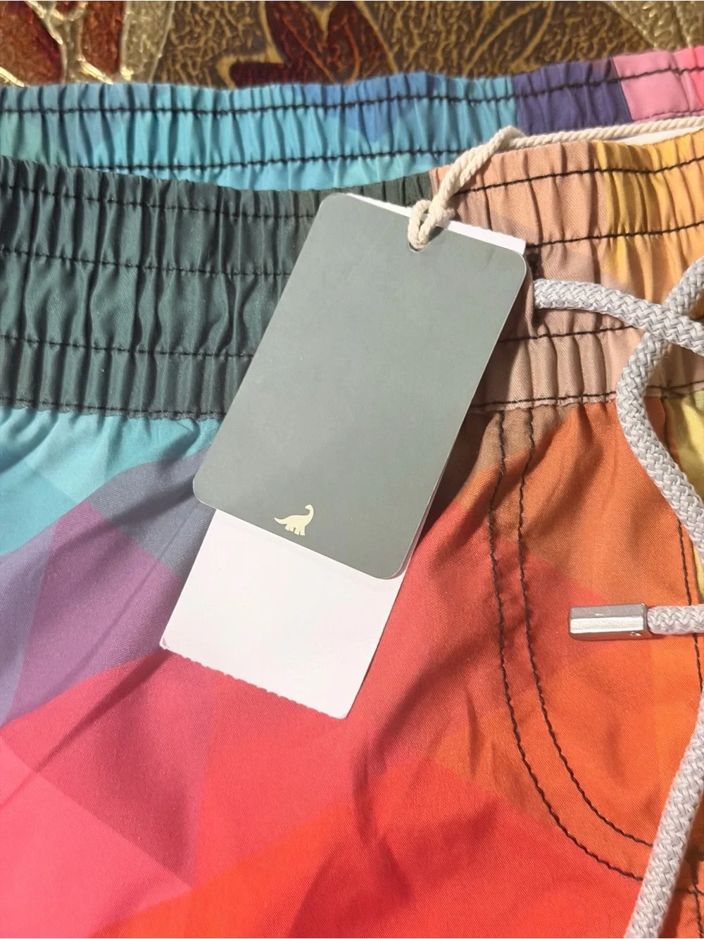 Rainbow Gradient Swim Shorts